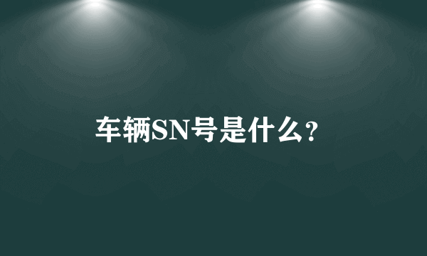 车辆SN号是什么？