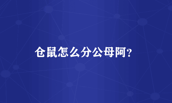 仓鼠怎么分公母阿？