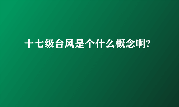 十七级台风是个什么概念啊?