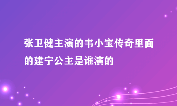 张卫健主演的韦小宝传奇里面的建宁公主是谁演的