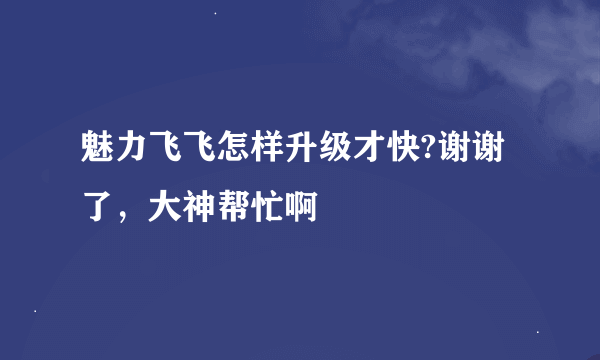 魅力飞飞怎样升级才快?谢谢了，大神帮忙啊