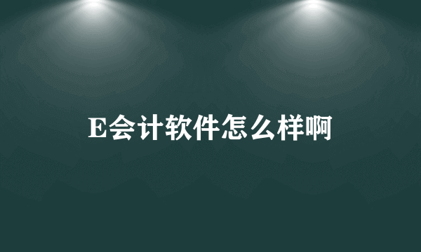 E会计软件怎么样啊