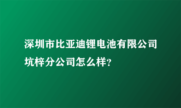 深圳市比亚迪锂电池有限公司坑梓分公司怎么样？