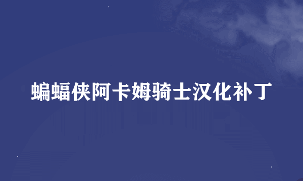 蝙蝠侠阿卡姆骑士汉化补丁