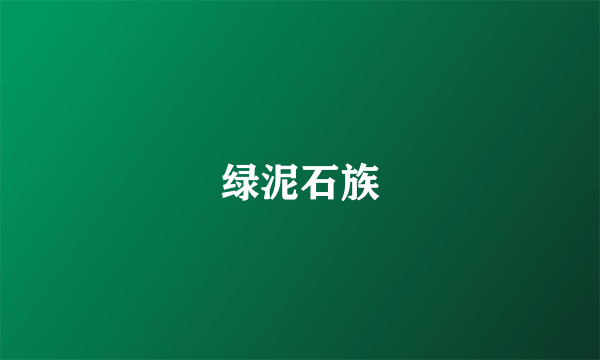 绿泥石族