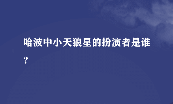 哈波中小天狼星的扮演者是谁？