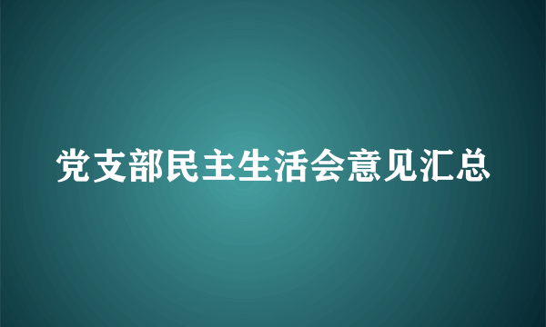 党支部民主生活会意见汇总