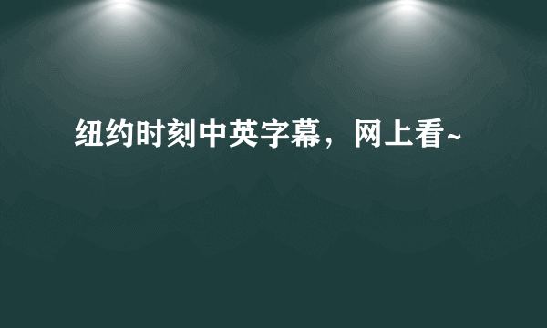 纽约时刻中英字幕，网上看~