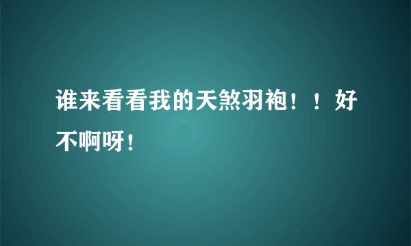 谁来看看我的天煞羽袍！！好不啊呀！