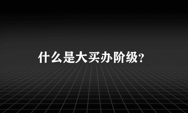 什么是大买办阶级？