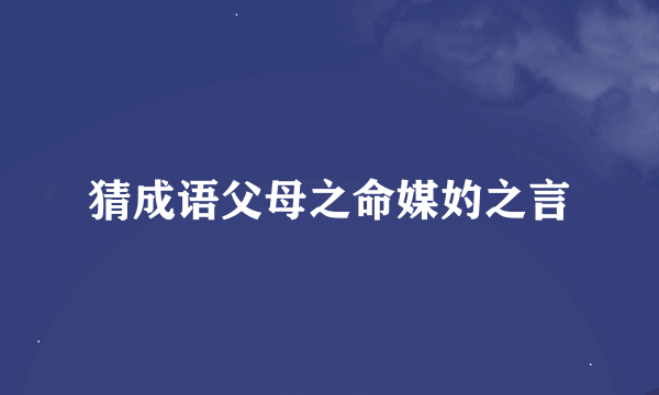 猜成语父母之命媒妁之言