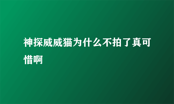 神探威威猫为什么不拍了真可惜啊