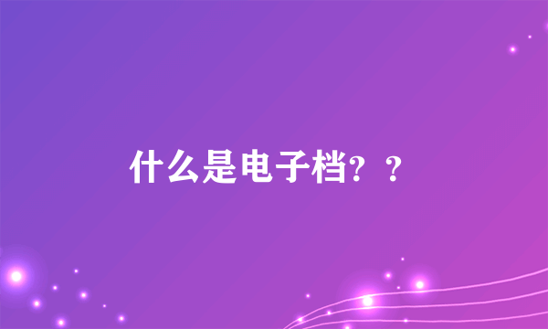 什么是电子档？？