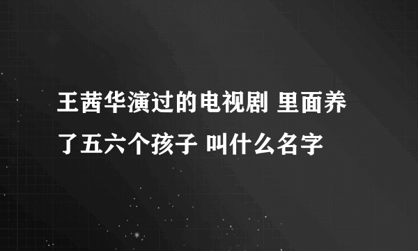 王茜华演过的电视剧 里面养了五六个孩子 叫什么名字