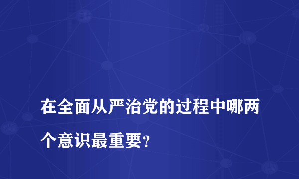 
在全面从严治党的过程中哪两个意识最重要？
