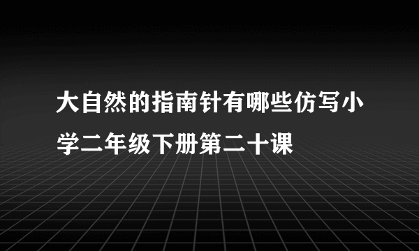 大自然的指南针有哪些仿写小学二年级下册第二十课