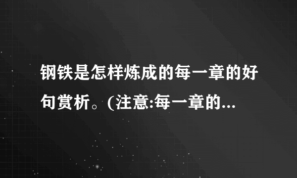 钢铁是怎样炼成的每一章的好句赏析。(注意:每一章的好句赏析)