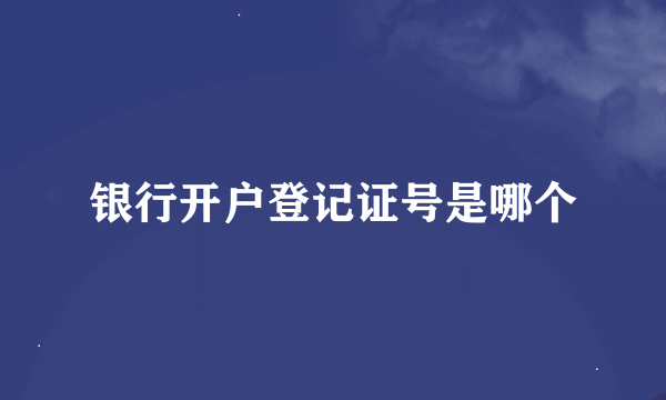 银行开户登记证号是哪个