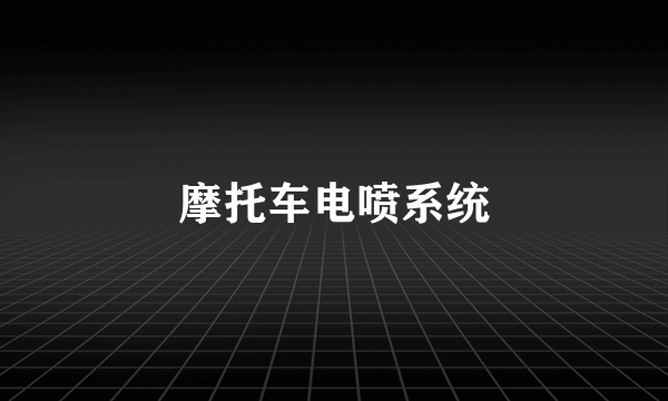 摩托车电喷系统