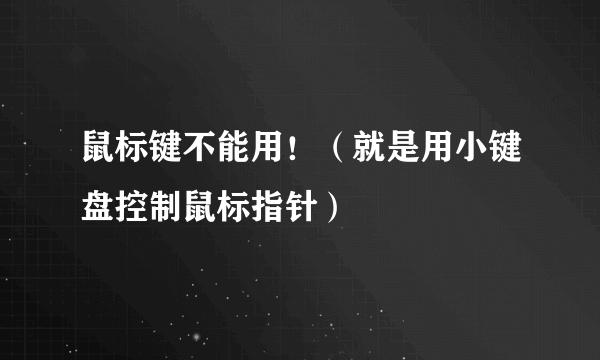 鼠标键不能用！（就是用小键盘控制鼠标指针）