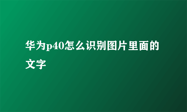 华为p40怎么识别图片里面的文字