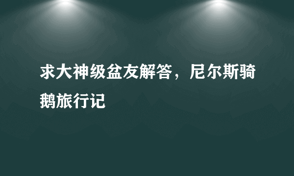 求大神级盆友解答，尼尔斯骑鹅旅行记