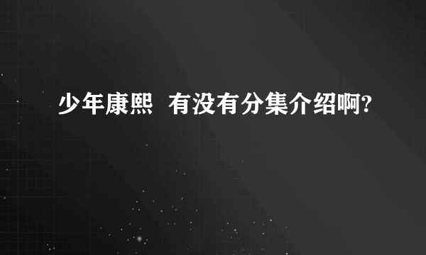 少年康熙  有没有分集介绍啊?