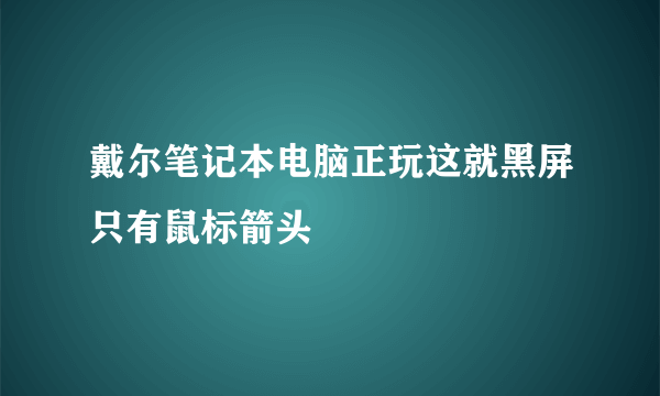 戴尔笔记本电脑正玩这就黑屏只有鼠标箭头