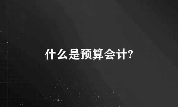 什么是预算会计?