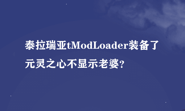 泰拉瑞亚tModLoader装备了元灵之心不显示老婆？