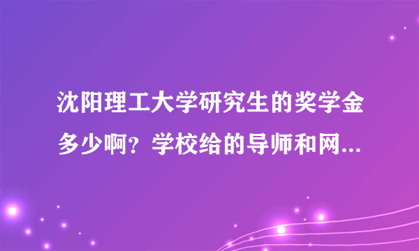 沈阳理工大学研究生的奖学金多少啊？学校给的导师和网页上列的导师不一样啊？知情人请告知，谢谢