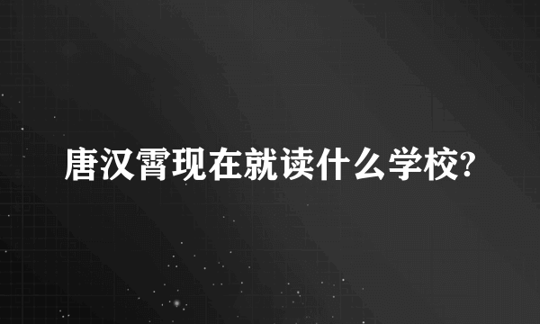 唐汉霄现在就读什么学校?