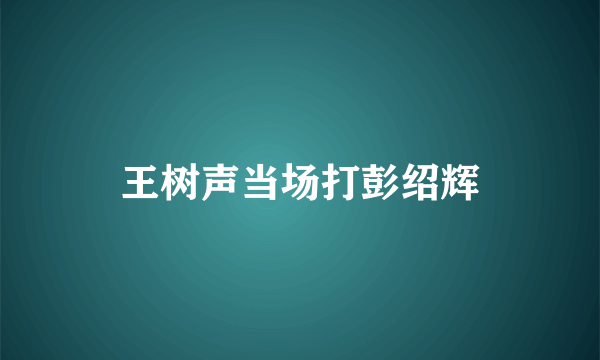 王树声当场打彭绍辉