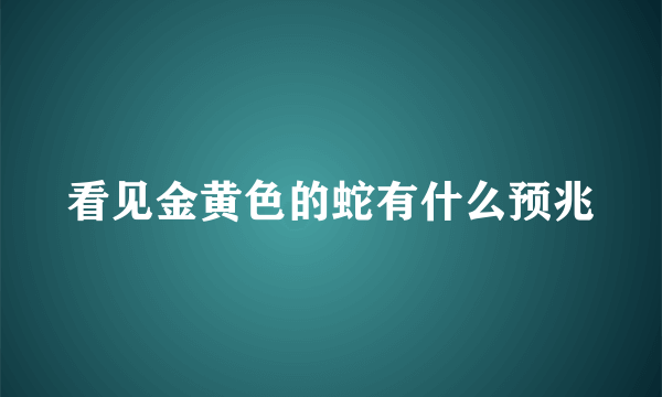 看见金黄色的蛇有什么预兆