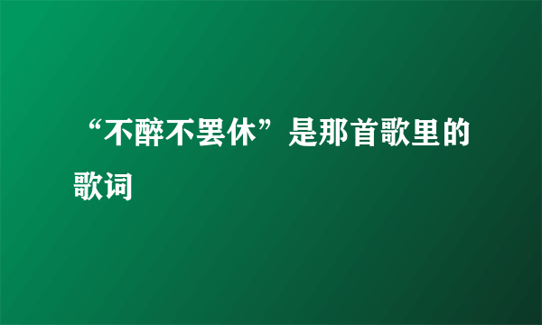 “不醉不罢休”是那首歌里的歌词