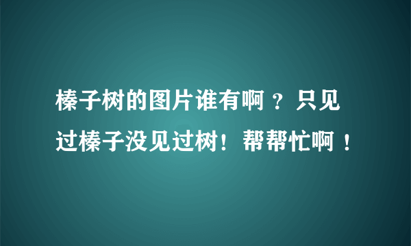 榛子树的图片谁有啊 ？只见过榛子没见过树！帮帮忙啊 ！