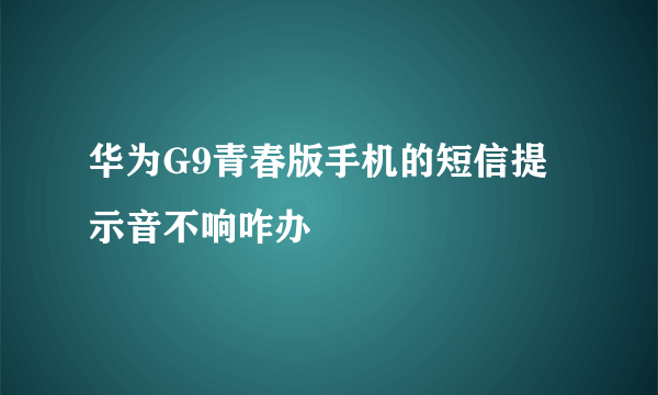 华为G9青春版手机的短信提示音不响咋办