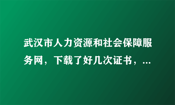 武汉市人力资源和社会保障服务网，下载了好几次证书，就是登录不了..