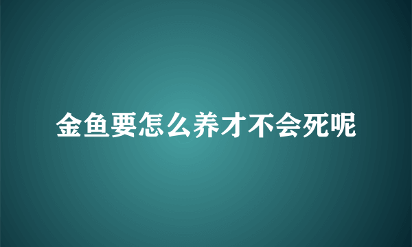 金鱼要怎么养才不会死呢