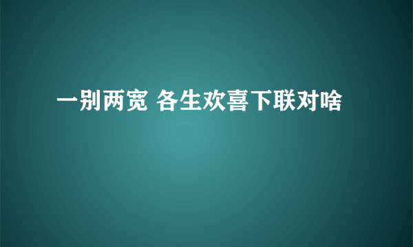 一别两宽 各生欢喜下联对啥