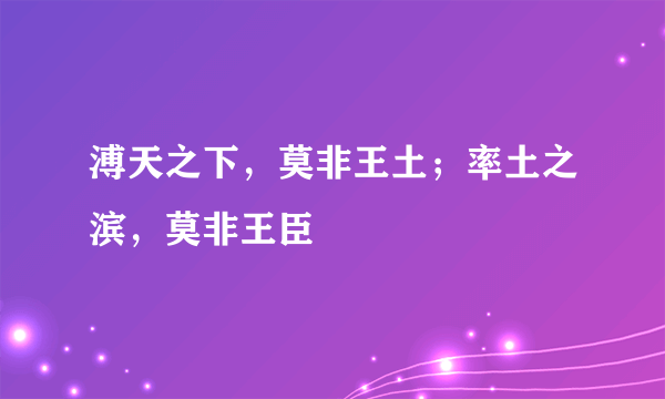 溥天之下，莫非王土；率土之滨，莫非王臣