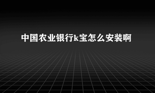 中国农业银行k宝怎么安装啊