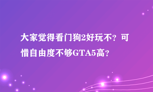 大家觉得看门狗2好玩不？可惜自由度不够GTA5高？