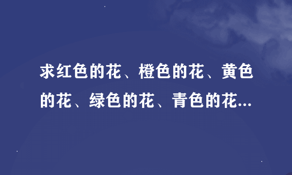 求红色的花、橙色的花、黄色的花、绿色的花、青色的花、蓝色的花、紫色的花各5朵