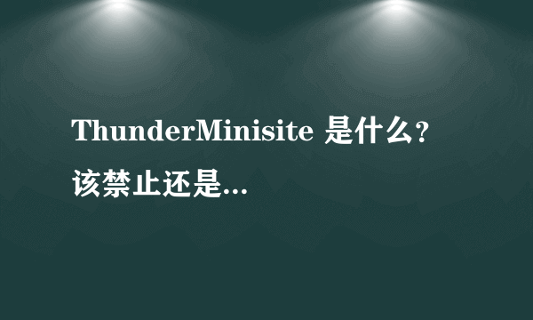 ThunderMinisite 是什么？该禁止还是允许它访问网络？