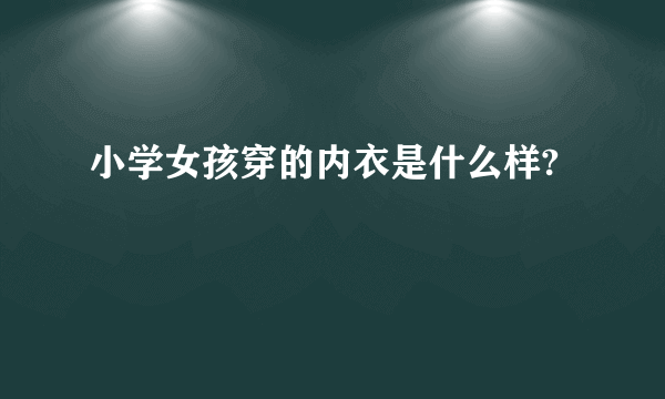 小学女孩穿的内衣是什么样?