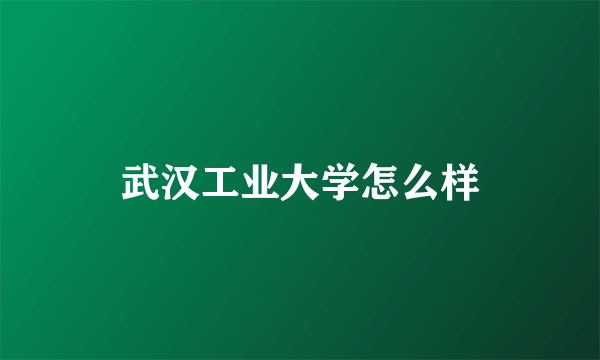 武汉工业大学怎么样