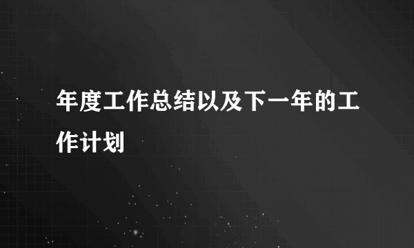 年度工作总结以及下一年的工作计划