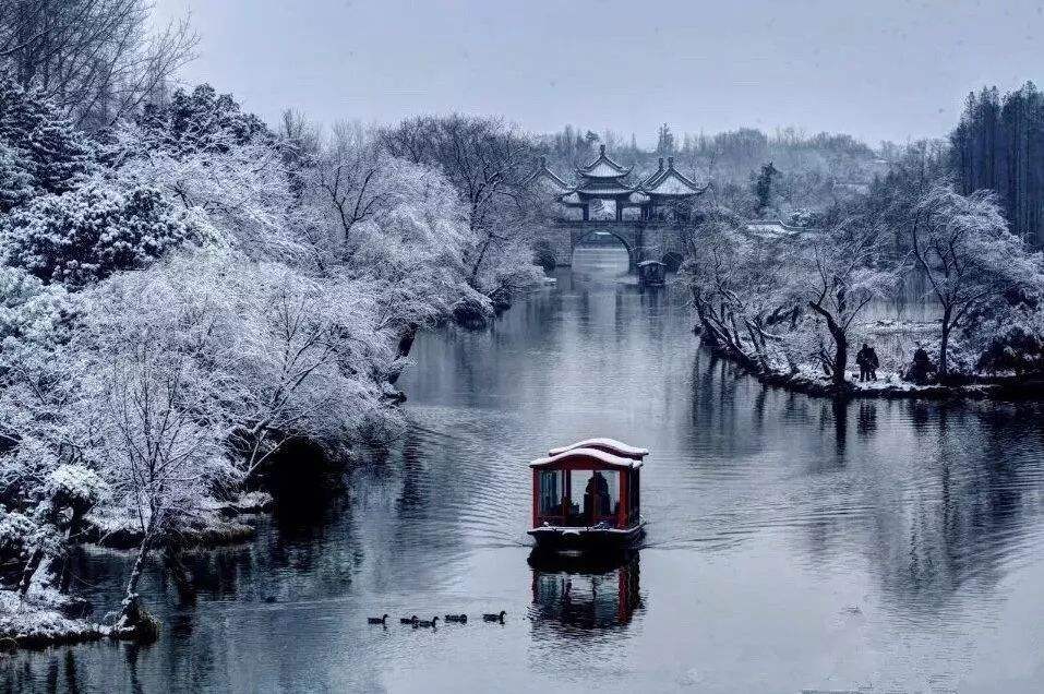 冷处偏佳 别有根芽 不是人间富贵花，什么意思？