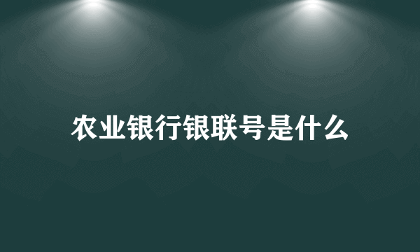 农业银行银联号是什么